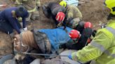 Pony recovering after being pulled from trench