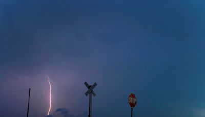 Colorado man and 34 cows struck and killed by lightning in Jackson County