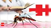 Surging dengue virus in Bengaluru poses threat to women, kids: Doctors | Bengaluru News - Times of India