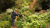 Plant by plant, flower by flower, he created his own Shangri-La in a Griffith Park nook