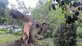 Severe weather slams North Texas will large hail, damaging winds