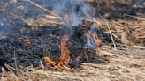 Riesgo extremo de incendios en la Comunitat Valenciana por la ola de calor