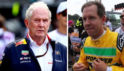 Helmut Marko issues brutal Vettel verdict after F1 hero asked to join Red Bull