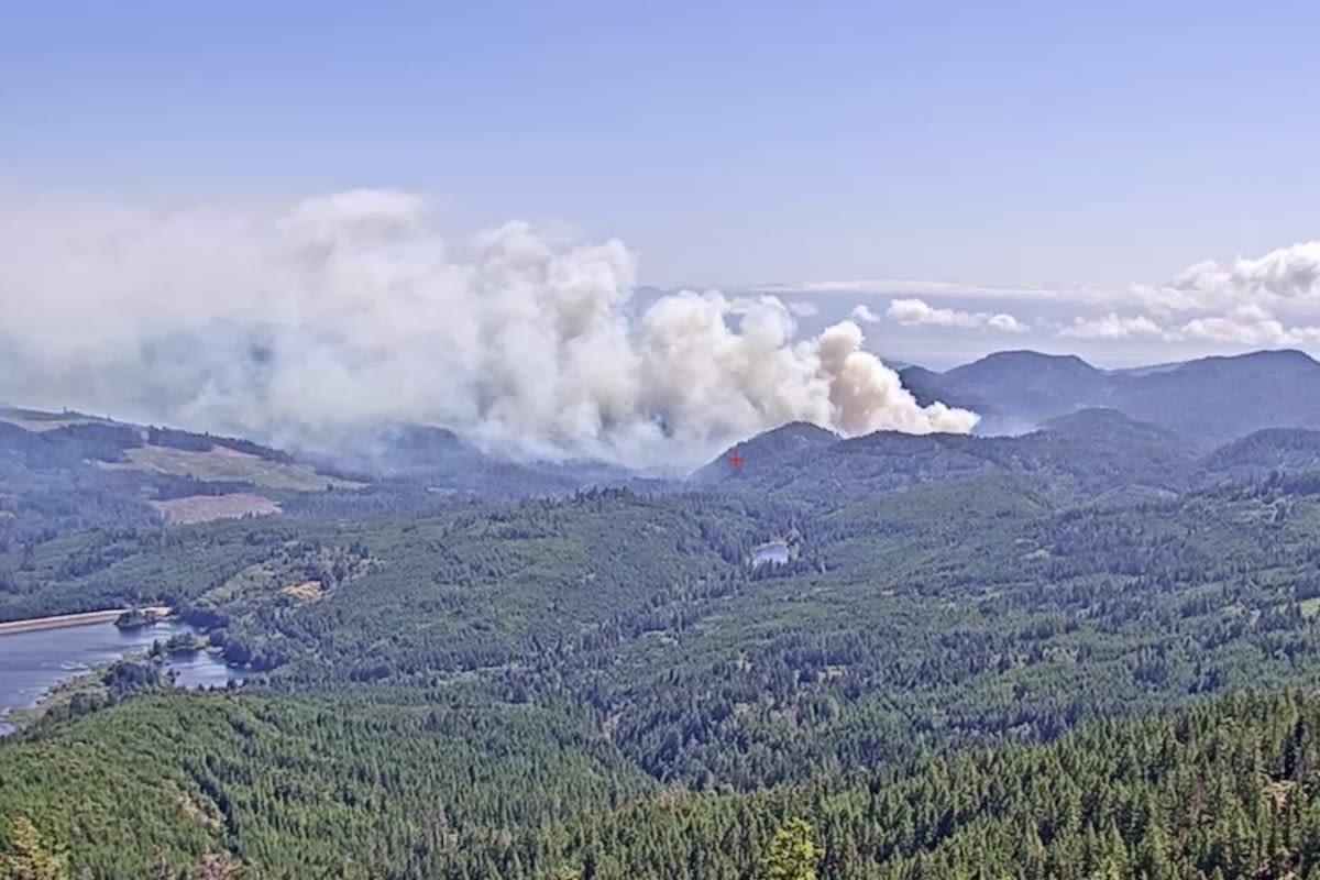 ‘Sustained winds’ stoke Sooke wildfire to 30 hectares overnight