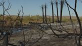 Refuge Fire impacts on wildlife at Yuma-area Imperial National Wildlife Refuge