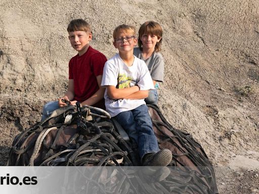 Tres niños descubren un raro fósil de 'Tyrannosaurus rex' juvenil, un hallazgo científico ‘de película’