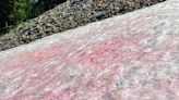 Park City Warns Guests To Avoid Eating Watermelon Snow