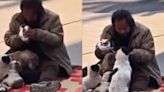 Video Of Homeless Man Feeding His Food To Stray Dogs Leaves Internet Teary-eyed - News18