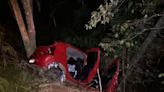 Adolescente morre após carro sair da pista e atingir árvore no MS | Brasil | O Dia