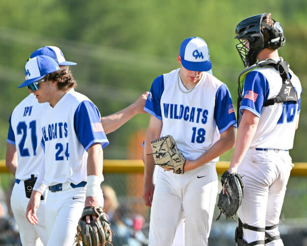 Wildcats season comes to an end in district final in baseball