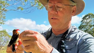 David Sibley Wrote The Definitive Field Guide To Birds