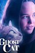 Ghost Cat