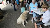 IN PHOTOS: Thousands turn out for the 2024 Dairy Breakfast at Crane Grain Farms