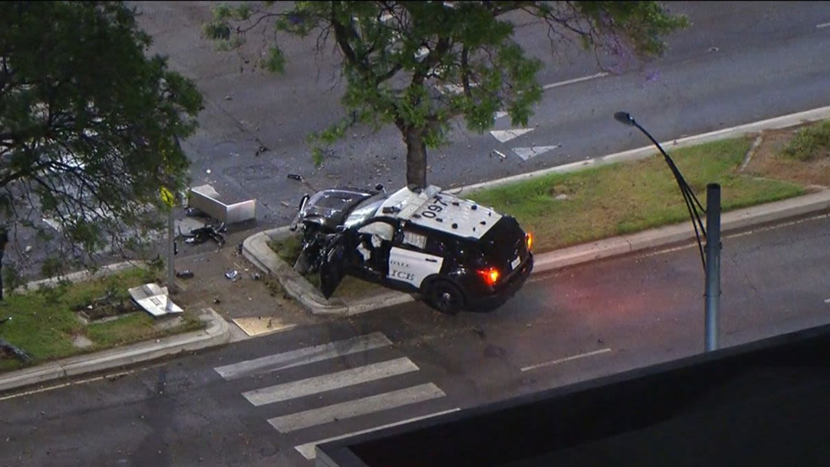 California robbery suspect crashes into a tree after stealing a police cruiser - KYMA