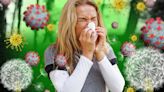 Do you have hay fever, Pirola or a spring cold? Key clues revealed