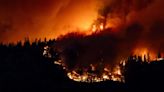 Canada at risk of another catastrophic wildfire season, government warns