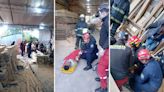 Grave accidente en una maderera de San Carlos: un joven pelea por su vida - Diario Hoy En la noticia