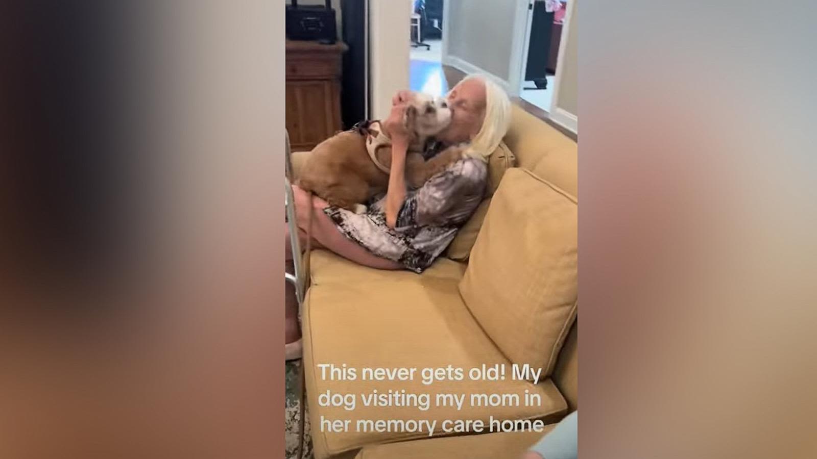 Watch how excited this dog gets to greet its owner's mom in a memory care home