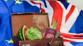 UK to again delay start of checks on EU imports - The Loadstar