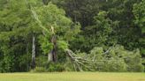 National Weather Service assessing whether storm in Anderson County was a tornado