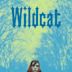 Wildcat (2023 film)