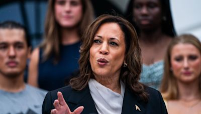 Harris’ immigration work comes under scrutiny as campaign takes shape