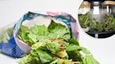 I tested 3 methods to keep salad fresh for longer in the fridge — here’s which worked best