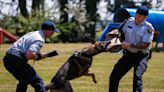 Trauma from dog bites puts spotlight on Saskatoon police's policy on using dogs in arrests