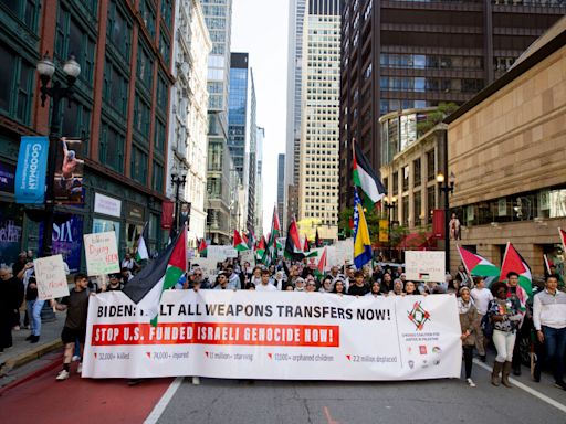 Advocacy group raises Palestinian flag in the Loop, calling attention to Gaza humanitarian crisis