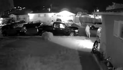 Caught on camera: Hayward man confronts would-be thief trying to steal his truck