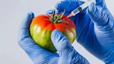 ¿Nuestros alimentos futuros deberían ser genéticamente modificados?