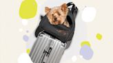 The Best Pet Travel Gear for Adventuring with Your Superstar Furball