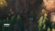 La tala ilegal en Rumanía presenta un combate entre la economía y la ecología