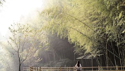 國慶焰火在雲林 張麗善：100個在地好景千萬別錯過