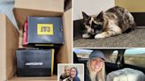 Couple accidentally ships pet cat in Amazon return box, stunning warehouse worker