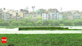 Delhi High Court Imposes Cost on Riverbed Encroachment Petitioners | Delhi News - Times of India