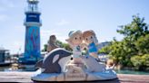 Precious Moments in store for guests as SeaWorld announces exclusive event