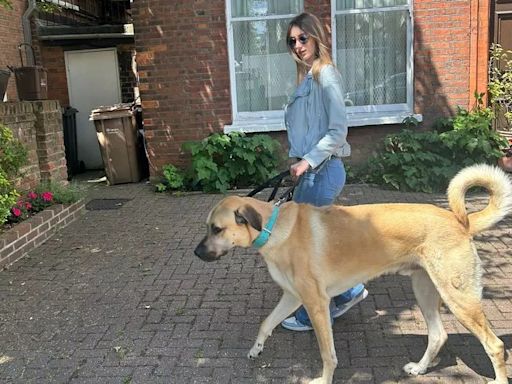 Woman with giant dog that costs huge amount to feed every month