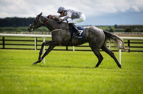 Fallen Angel Proves Much the Best at the Curragh