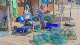 The octopus fishers protecting Portugal's largest reef