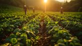 Novo recorde: trabalhadores no agronegócio somam 28,6 milhões no 1° trimestre de 2024 | Agro Estadão