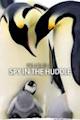 Penguins: Spy in the Huddle