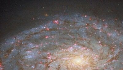 Nasa shares spectacular image of spiral galaxy named after Egyptian queen