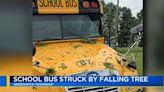 Tree lands on school bus during brief, gusty storm