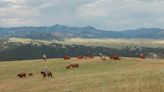 $2.5M gift to UW supports future of Wyoming ranching