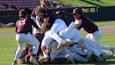 Madison Edgewood dogpile