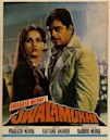 Jwalamukhi (1980 film)