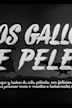 dos Gallos De Pelea