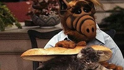 'ALF eating a cat sandwich' memes surge following Trump's 'eating pets' claim