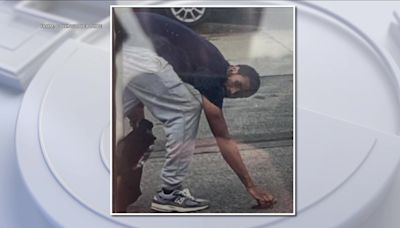 Man wanted for attack on woman pushing child in stroller in Delaware County: police